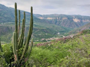 Geological formations in Chicamocha Canyon Andes